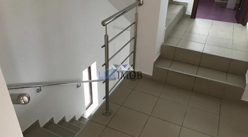109343582_6_1000x700_inchiriez-vila-p-3-zona-domenii-str-dumitru-florescu-_rev006