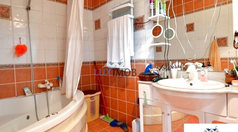 Vile Herastrau Vile Nordului-Luximob. 88pg