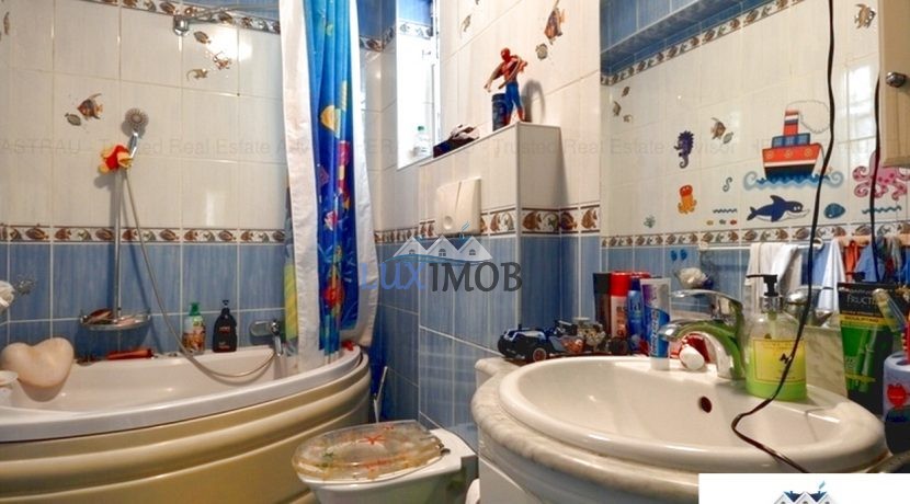 Vile Herastrau Vile Nordului-Luximob.33jpg
