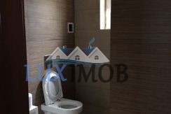 144345771_6_1000x700_direct-proprietar-inchiriez-vila-p-1-m-pe-mosilor-