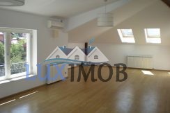 153969905_1_1000x700_domenii-vila-stil-s-p-e-m-300-mp-renovata-proprietar-bucuresti