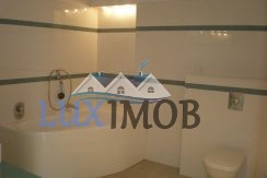 153969905_7_1000x700_domenii-vila-stil-s-p-e-m-300-mp-renovata-proprietar-