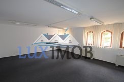 Vile Aviatorilor Kiseleff Vanzari Inchirieri Vila Bucharest 5