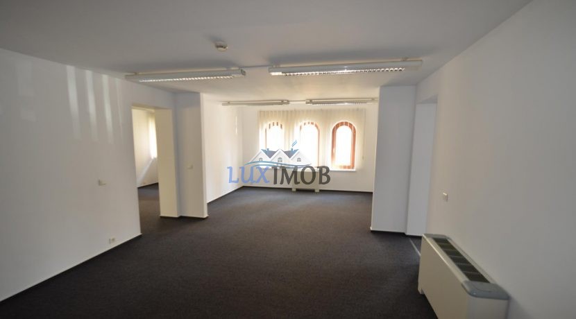 Vile Aviatorilor Kiseleff Vanzari Inchirieri Vila Bucharest 9